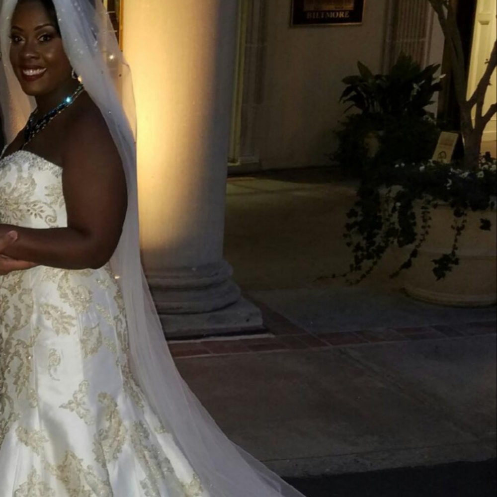 Wedding dress; Wedding Gown